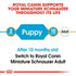 Royal Canin Schnauzer Puppy Infographic 1