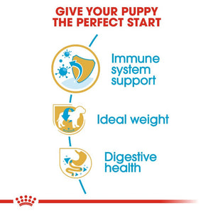 Royal Canin Schnauzer Puppy Infographic 3