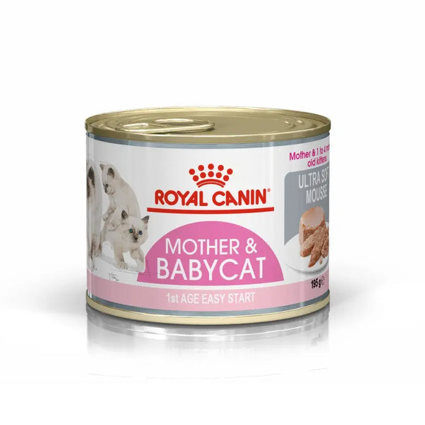 Royal Canin Mother What To Feed Mother Cat Royal Canin Mother Baby Dry Cat Food, Meat Flavor, 2kg – NagaBazaar™