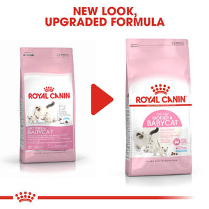 Royal Canin Mother & Babycat Infographic 6