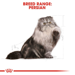 Royal Canin Persian Adult Cat Infographic 1