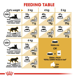 Royal Canin Persian Adult Cat Infographic 4