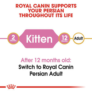 Royal Canin Persian Kitten Infographic 1