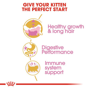 Royal Canin Persian Kitten Infographic 3