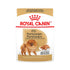 Royal Canin Pomeranian Adult Wet Food Pouch