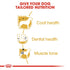 Royal Canin Poodle Adult Infographic 5