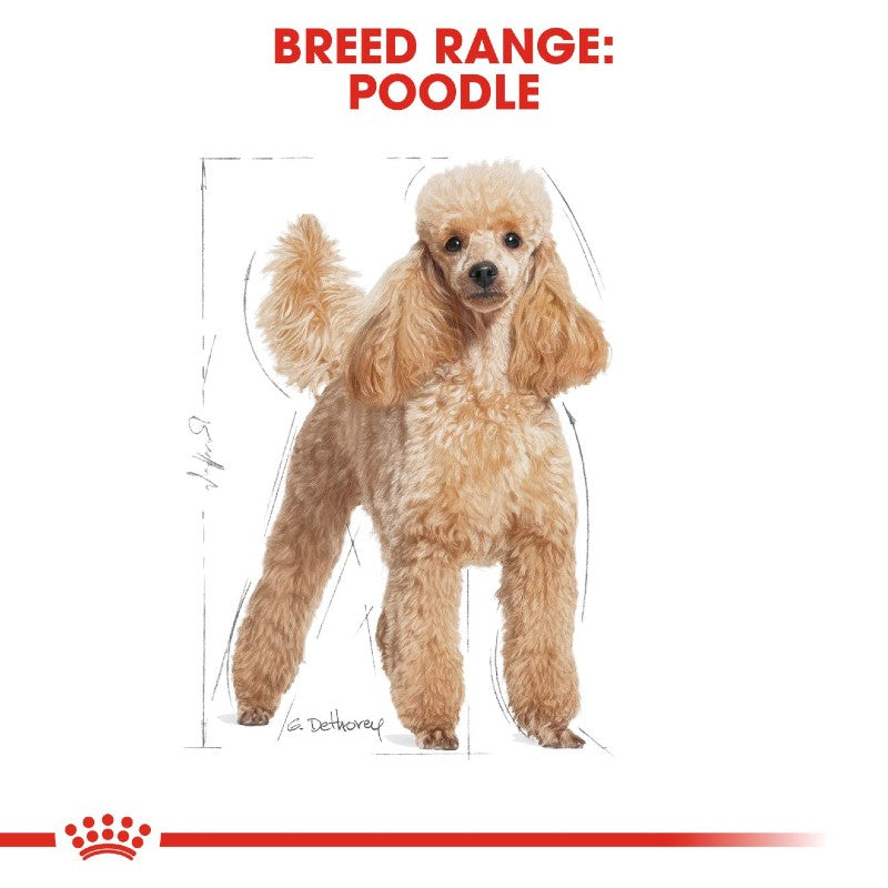 Royal Canin Poodle Adult Wet Food Pouch Infographic 1