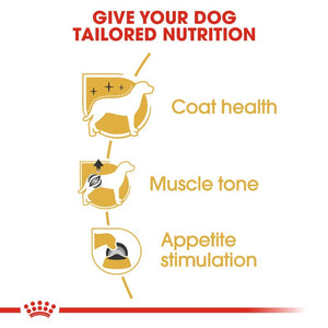 Royal Canin Poodle Adult Wet Food Pouch Infographic 3