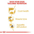 Royal Canin Poodle Adult Wet Food Pouch Infographic 3