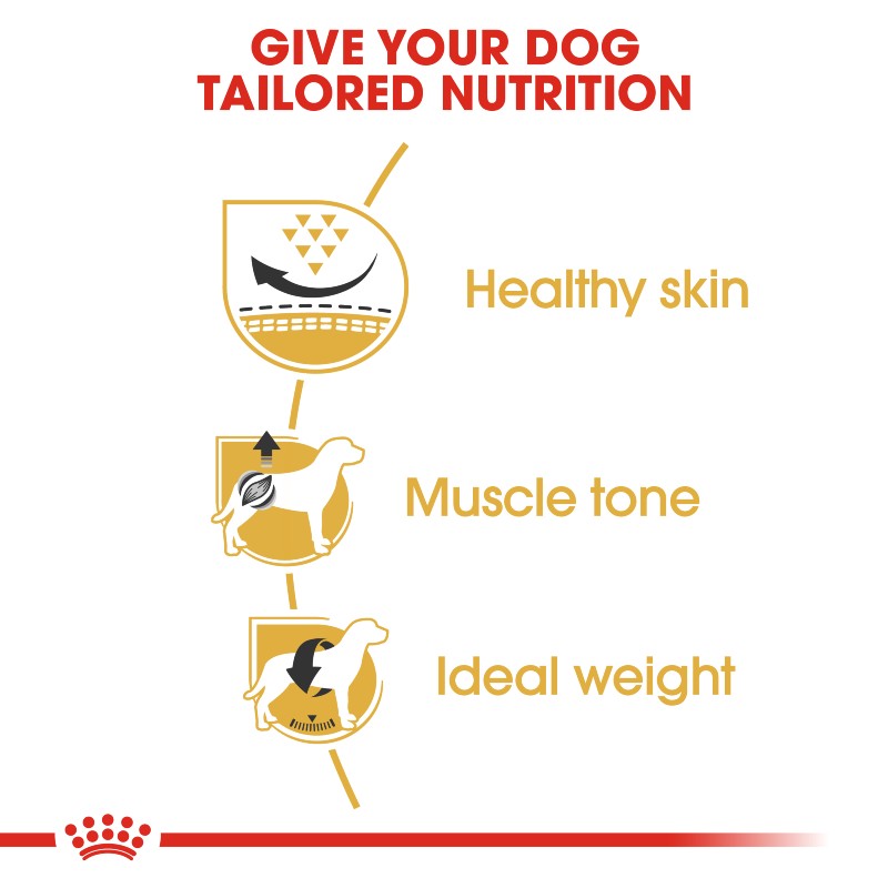 Royal Canin Pug Adult Infographic 1