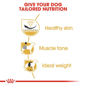 Royal Canin Pug Adult Infographic 1