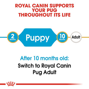 Royal Canin Pug Puppy infographic 1