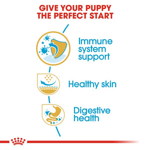 Royal Canin Pug Puppy infographic 3