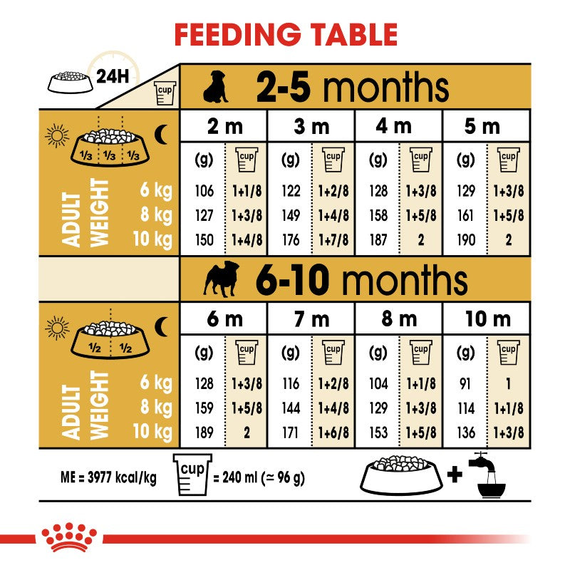 Royal Canin Pug Puppy infographic 5