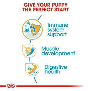 Royal Canin Boxer Puppy Infographic 3