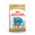 Royal Canin Boxer Puppy