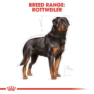 Royal Canin Rottweiler Adult Infographic 1
