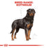 Royal Canin Rottweiler Adult Infographic 1