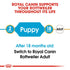 Royal Canin Rottweiler Puppy Infographics 1