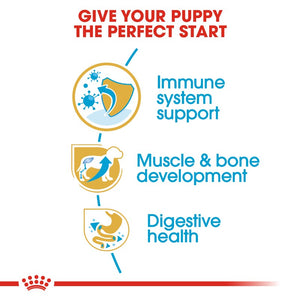 Royal Canin Rottweiler Puppy Infographics 3