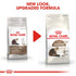 Royal Canin Ageing +12 Cat Infographic 7