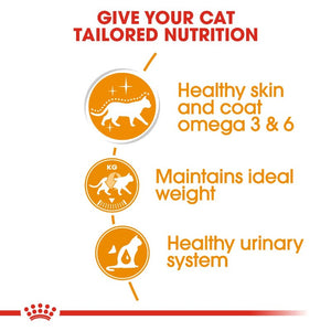 Royal Canin Cat - Intense Beauty Wet Food Pouch Infographic 3