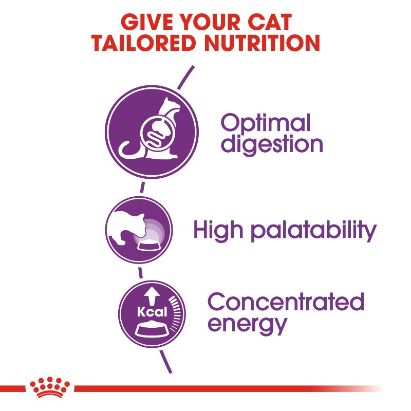 Royal Canin Sensible Cat Infographic 1