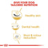 Royal Canin Shih Tzu Adult Infographic 4