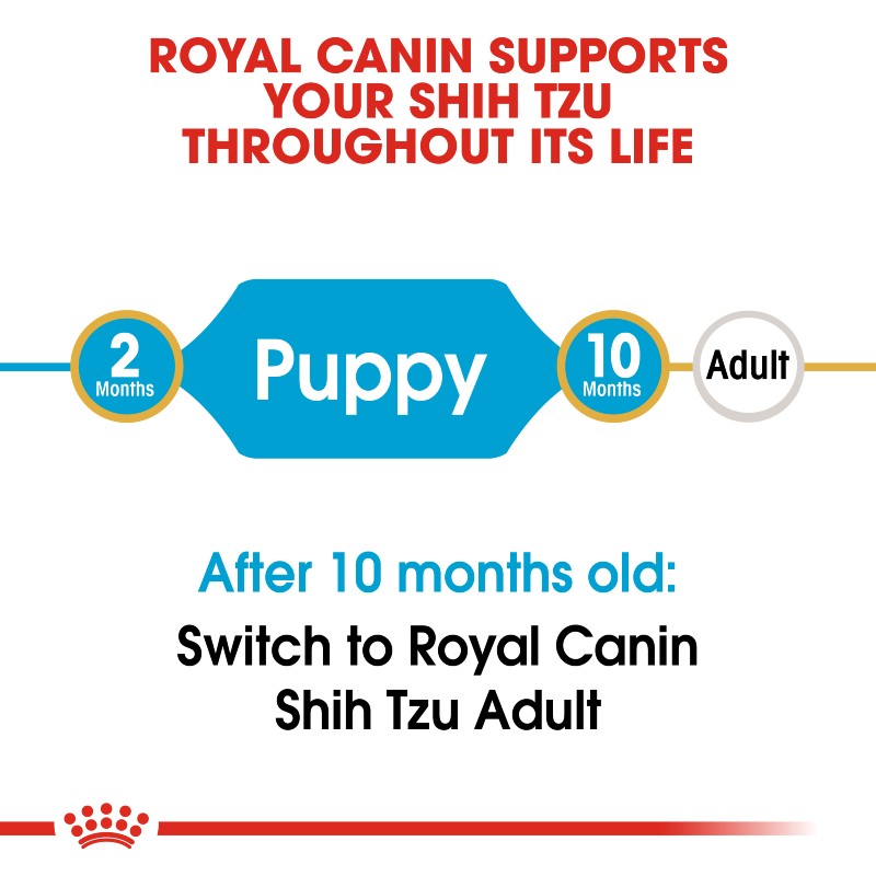 Royal Canin Shih Tzu Puppy Infographic 1