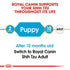 Royal Canin Shih Tzu Puppy Infographic 1