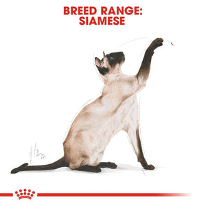 Royal Canin Siamese Adult Cat Infographic 1