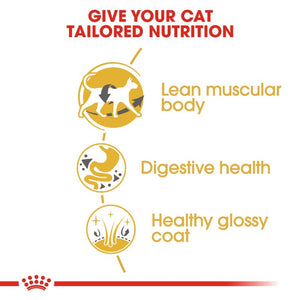 Royal Canin Siamese Adult Cat Infographic 3