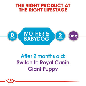 Royal Canin Giant Starter Mother & Baby Dog Infographic 1