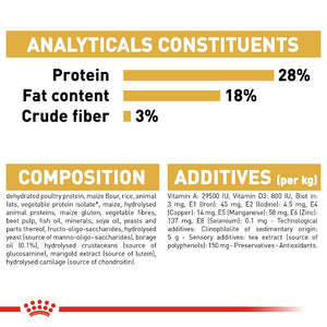 Royal Canin Yorkshire Terrier Adult Infographic 2
