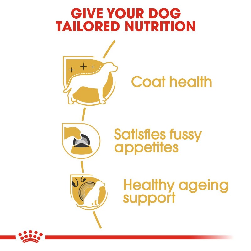 Royal Canin Yorkshire Terrier Adult Infographic 5