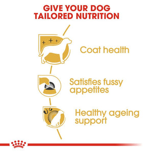 Royal Canin Yorkshire Terrier Adult Infographic 5