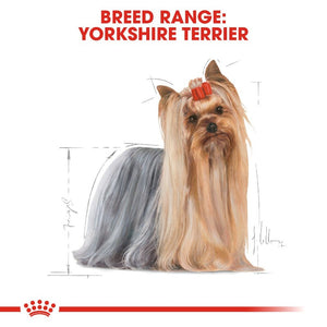 Royal Canin Yorkshire Terrier Adult Wet Food Pouch Infographic 1
