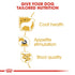 Royal Canin Yorkshire Terrier Adult Wet Food Pouch Infographic 3