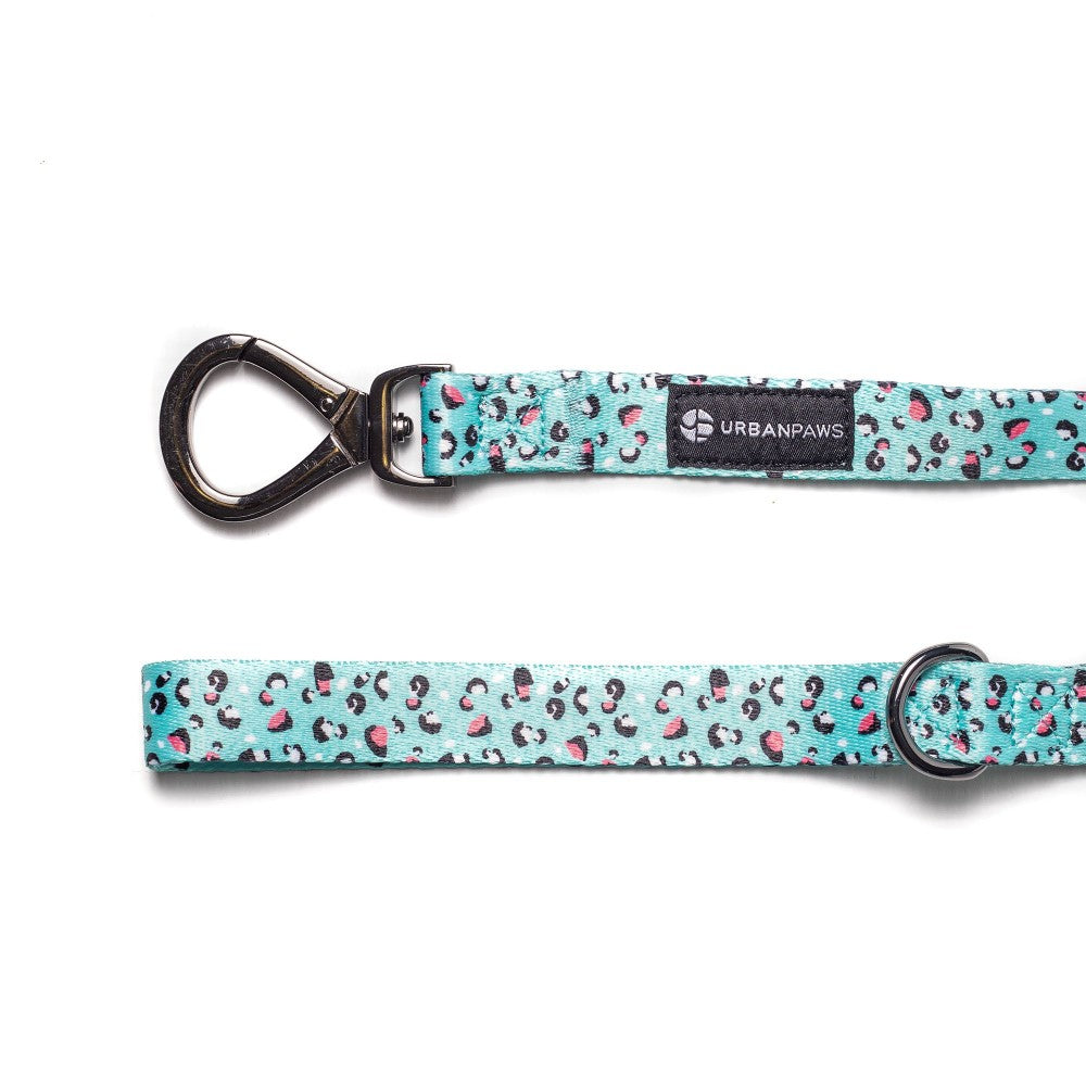 Dog leads hot sale online