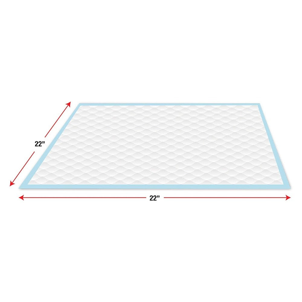 Wee-Wee Pee Pee Everyday Dog Training Pads