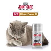 GCS Cat Joint Care Gel - lifestyle image with pet South Africa purchase