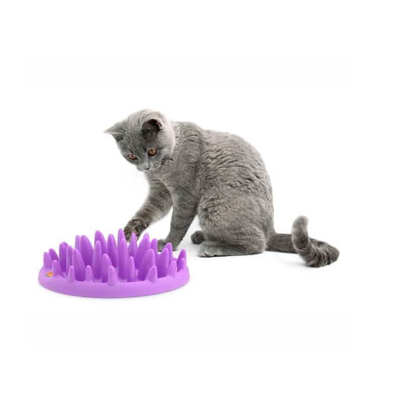 Company of Animals Catch Interactive Cat Feeder - lifestyle image with pet order online South Africa
