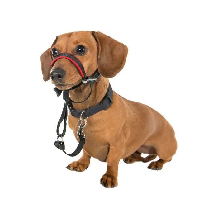 Company of Animals Halti Link - One Size Fits All - product detail image buy online South Africa