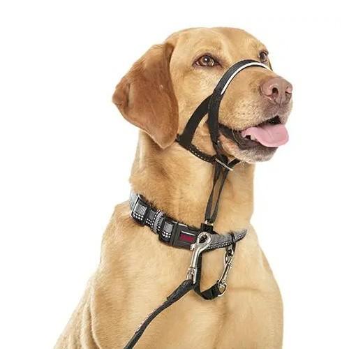 Company of Animals Halti Link - One Size Fits All - product detail image South Africa shoppers