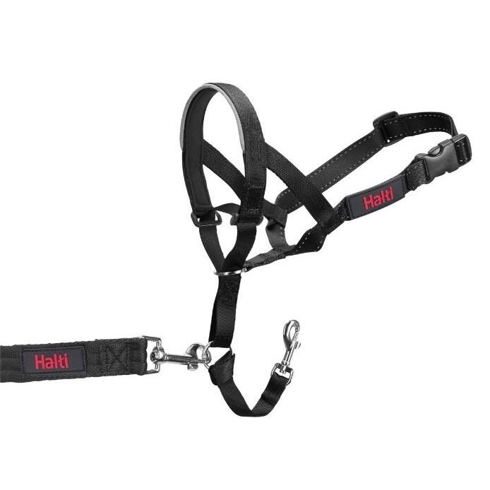 Company of Animals Halti Headcollar - product detail image online in South Africa