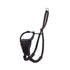 Company of Animals Halti No Pull Harness