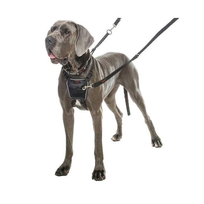 Company of Animals Halti No Pull Harness - product detail image nationwide South Africa