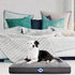 Sealy Cushy Comfy Dog Bed