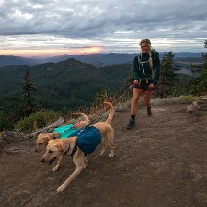 Ruffwear Front Range Day Pack