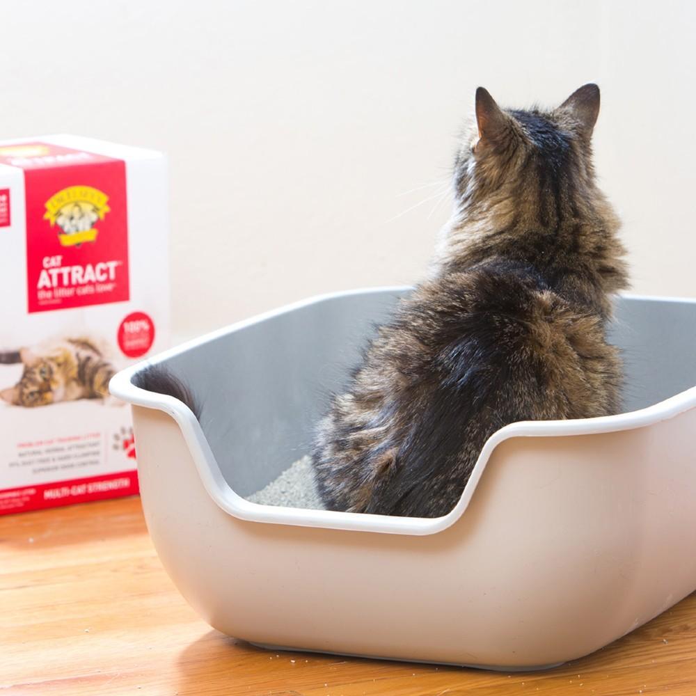 Kitty litter that attracts cats best sale